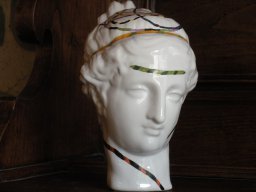 venus 020